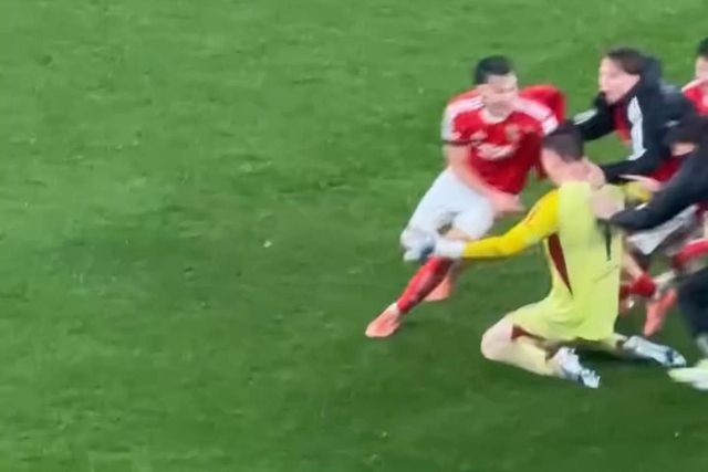 Mulher de Trubin mostra como viveu o golo épico do marido