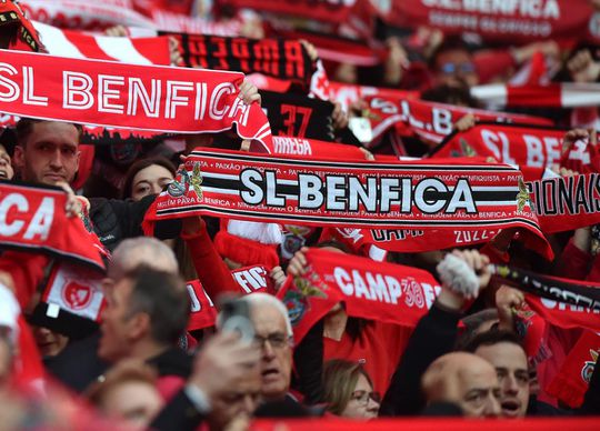 SAD do Benfica com €18 milhões de lucro