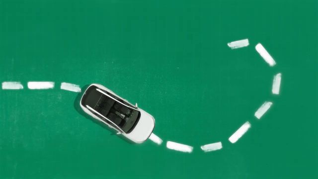 Zicky Té mostra (outra) veia artística