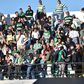 Sporting: onda verde rumo ao Bessa