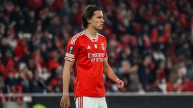 Paco López: «Álvaro Carreras tem qualidades para ser importante no Benfica»