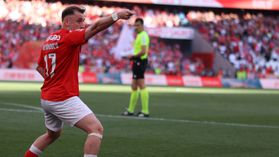 Benfica: bola de domingo à tarde