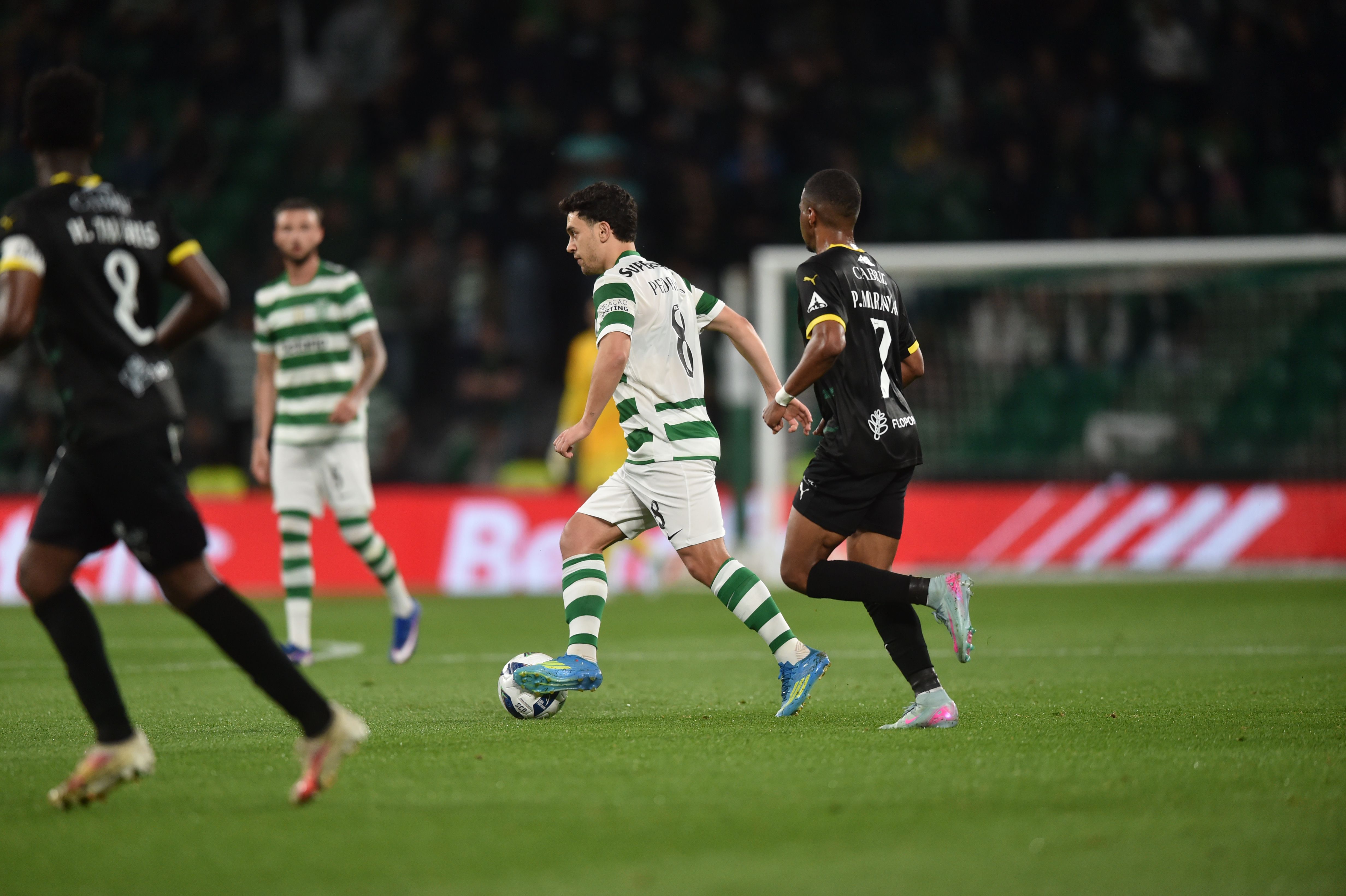 Pedro Gonçalves voltou à titularidade. Foto: Miguel Nunes (Sporting -  Tondela)