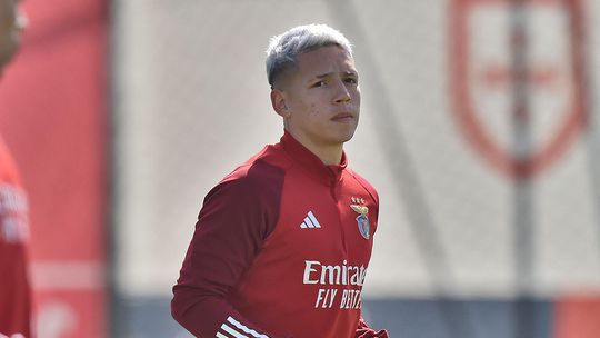 Benfica: boas notícias para Tomás Araújo, más notícias para Prestianni