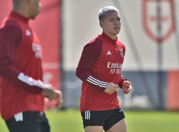 Benfica: boas notícias para Tomás Araújo, más notícias para Prestianni