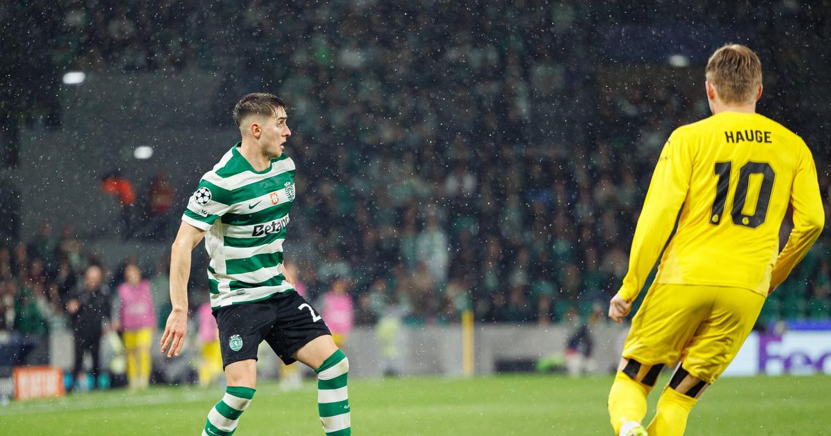 Sporting: Fresneda de férias mas sem descanso