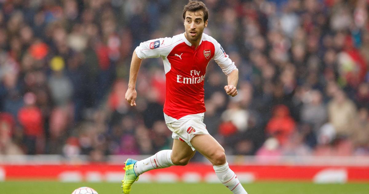Por um futuro mais verde: ex-Arsenal faz fortuna com negócio fora dos relvados