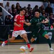Benfica-Leões Porto Salvo, foto FPF