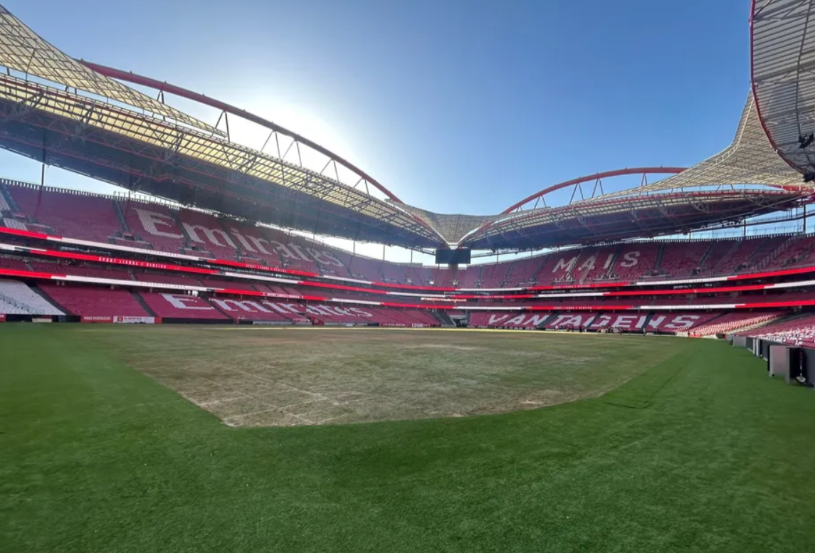 Relvado do Estádio da Luz após concertos de Bad Bunny - Foto: D.R.