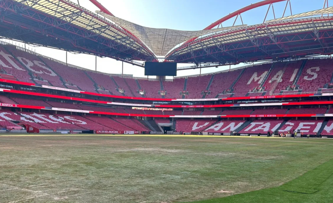 Relvado do Estádio da Luz após concertos de Bad Bunny - Foto: D.R.