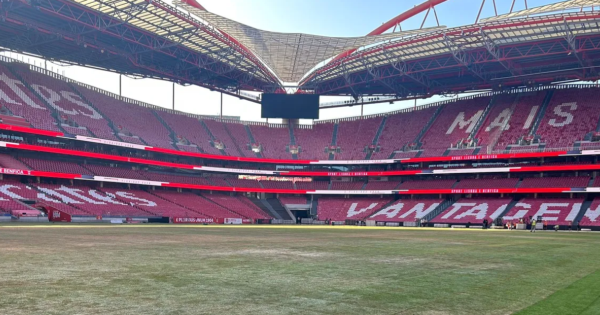 Benfica: relvado da Luz ficou neste estado após concertos de Bad Bunny (fotos)