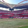 Relvado do Estádio da Luz após concertos de Bad Bunny - Foto: D.R.