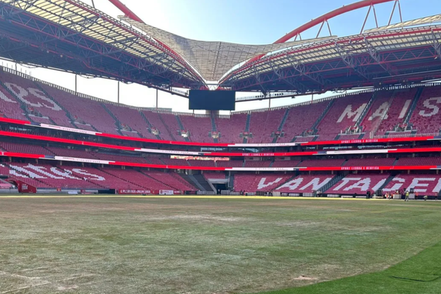 Relvado do Estádio da Luz após concertos de Bad Bunny - Foto: D.R.