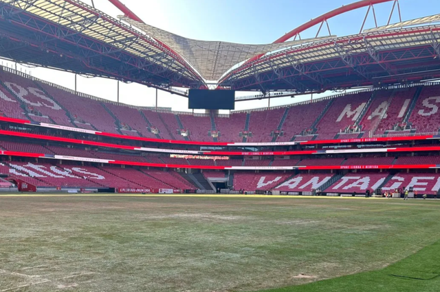 Relvado do Estádio da Luz após concertos de Bad Bunny - Foto: D.R.