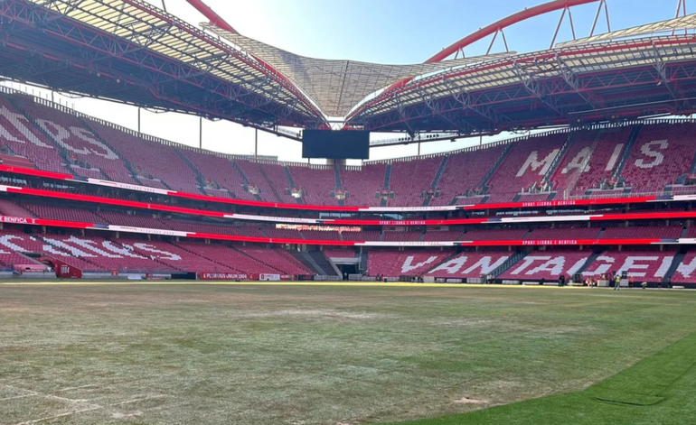 Relvado do Estádio da Luz após concertos de Bad Bunny - Foto: D.R.