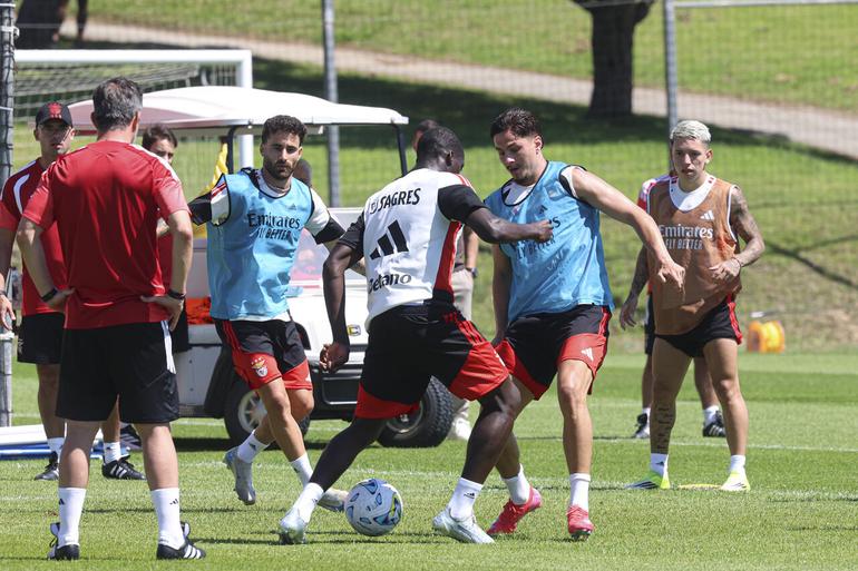 Ivanovic em ação num treino do Benfica - Foto: Benfica