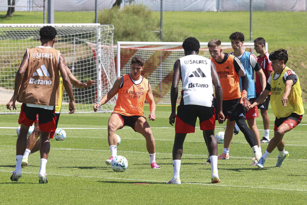 Sudakov no treino do Benfica - Foto: Benfica