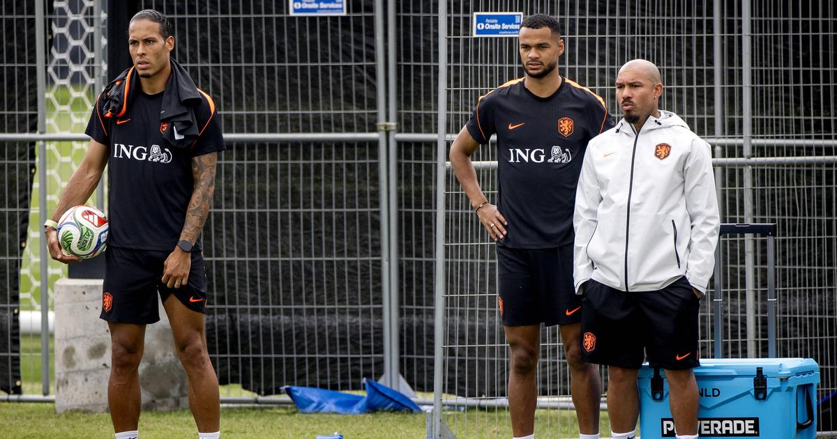 Gakpo perde bebê e Van Dijk reage: "Futebol é secundário
