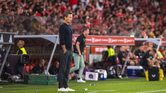 Roger Schmidt e os assobios: «Depois do jogo todos estão felizes»