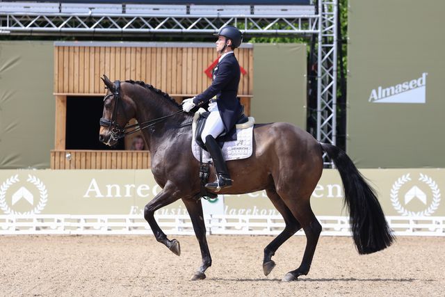 Operação urgente a cavalo leva a substituição na equipa equestre