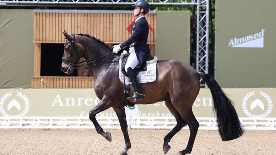 Operação urgente a cavalo leva a substituição na equipa equestre