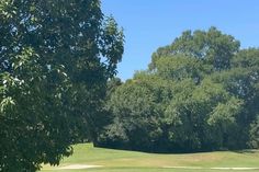 'Flop' do Sporting dedica-se ao footgolf