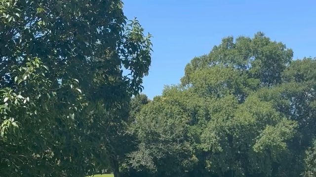 'Flop' do Sporting dedica-se ao footgolf