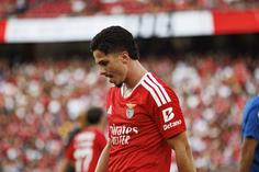 «O Benfica faz mal em vender Ivanovic»