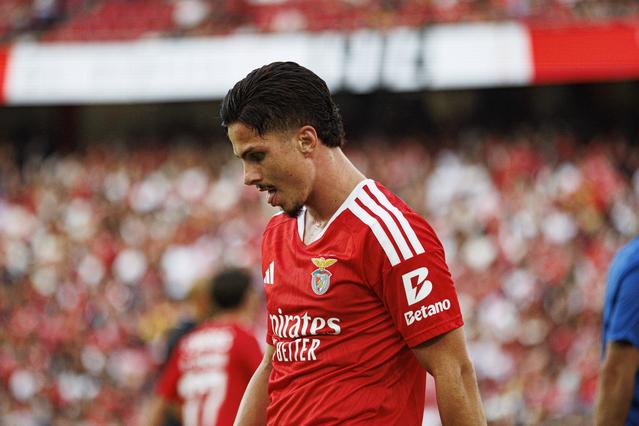 Franjo Ivanovic, ponta de lança do Benfica (foto: Imago)