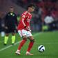 Dedic - Foto: A BOLA/Miguel Nunes