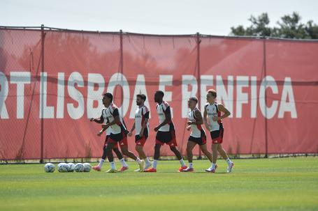 Marco Silva já conta com o regresso dos últimos 'mundialistas', Schjelderup, Aursnes, Ríos e Lukebakio - Foto: Miguel Nunes