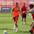 João Palhinha, médio do Benfica - Foto:  SL Benfica