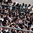 Adeptos viriatos, na bancada do Estádio do Fontelo - Foto: Liga Portugal