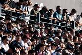 Adeptos viriatos, na bancada do Estádio do Fontelo - Foto: Liga Portugal