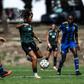 Leoas preparam início do campeonato - Foto: SPORTING CP