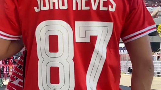 Adeptos do Benfica «preparam» o Clássico na fan zone da Luz