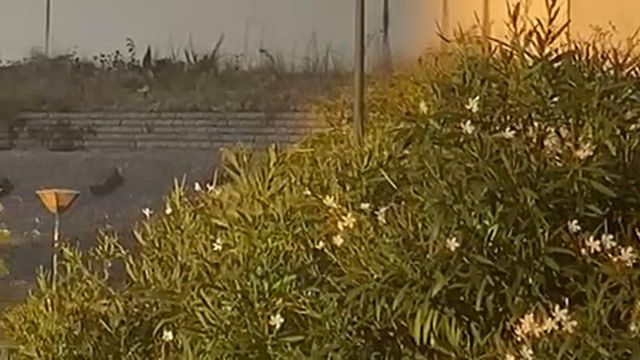 Varanda com vista para o clássico