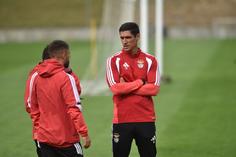 Classe e boa disposição: Benfica prepara receção a gigante europeu