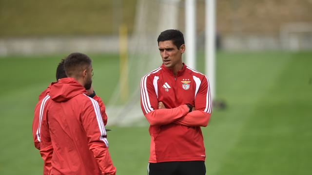 Classe e boa disposição: Benfica prepara receção a gigante europeu