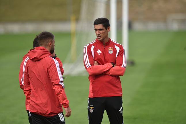 Classe e boa disposição: Benfica prepara receção a gigante europeu