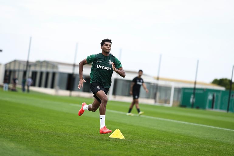 Luís Guilherme - Foto: Sporting CP