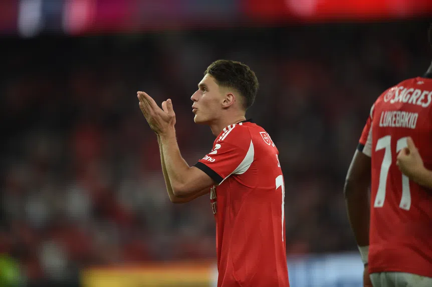 VAR ataca! Lince ibérico em fora de jogo