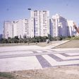 O Benfica e o último Botafogo campeão
