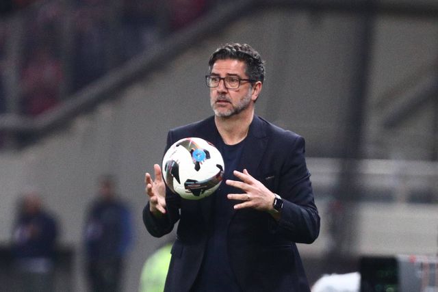 Dois ex-Benfica impõem derrota a Rui Vitória no dérbi de Atenas