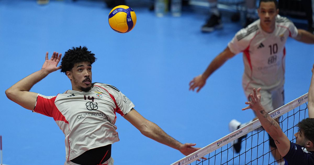 Instaurado processo disciplinar por alegados insultos racistas a jogador do Benfica