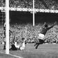Eusébio festeja mais um golo no Mundial-66. Foto Nuno Ferrari/A BOLA