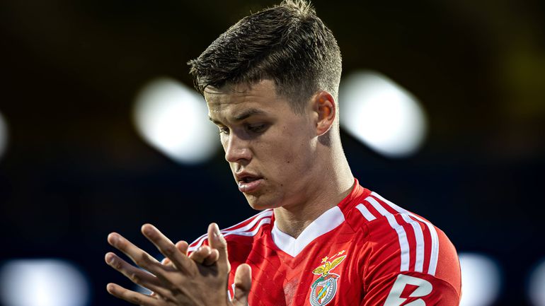 Benfica quer Dahl mas sem loucuras