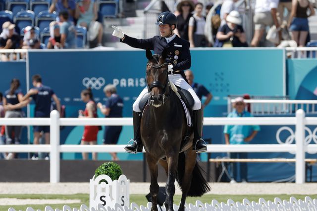 Portugal no sexto lugar provisório na competição por equipas de dressage
