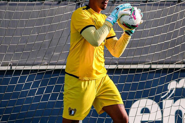 Ataque de abelhas suspende partida de apresentação do Famalicão