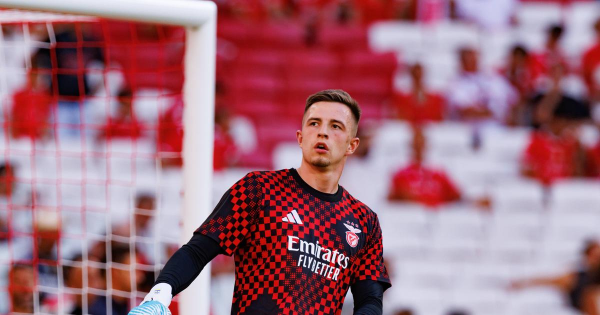 agente-trubin-e-a-chegada-de-sudakov-ao-benfica-o-trabalho-est